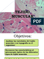 11 Muscular - Pps