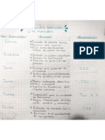 Aminoácidos PDF