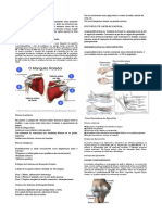 Sindrome Do Maguito Rotador PDF