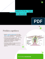 Presentación Y.T.PÓRFIDO