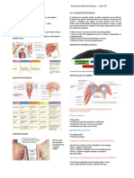 Aula 25 - Membros Superiores
