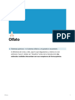 Olfato PDF
