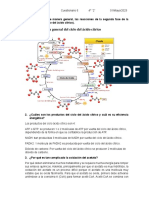 Cuestionarios 6. Daniela Espinosa PDF