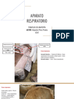 ANATOMÍA DEL APARATO RESPIRATORIO Dr. Serotonina PDF