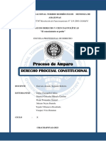Informe Constituciona - Proceso de Amparo PDF