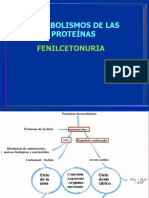 Metabolismos de Las Proteínas: Fenilcetonuria