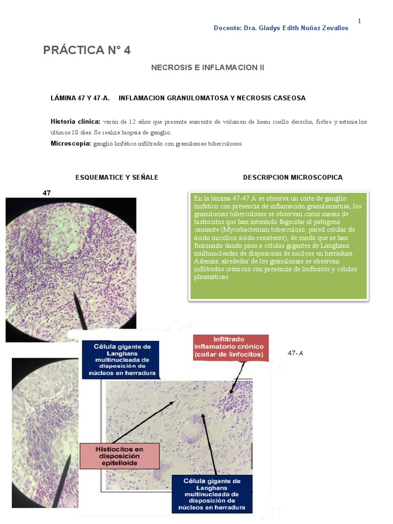GUIA DE PATOLOGIA 2023 PDF