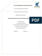 Reporte de Laboratorio, Práctica 1 PDF
