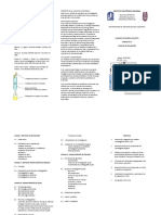 Tríptico de Técnicas PDF