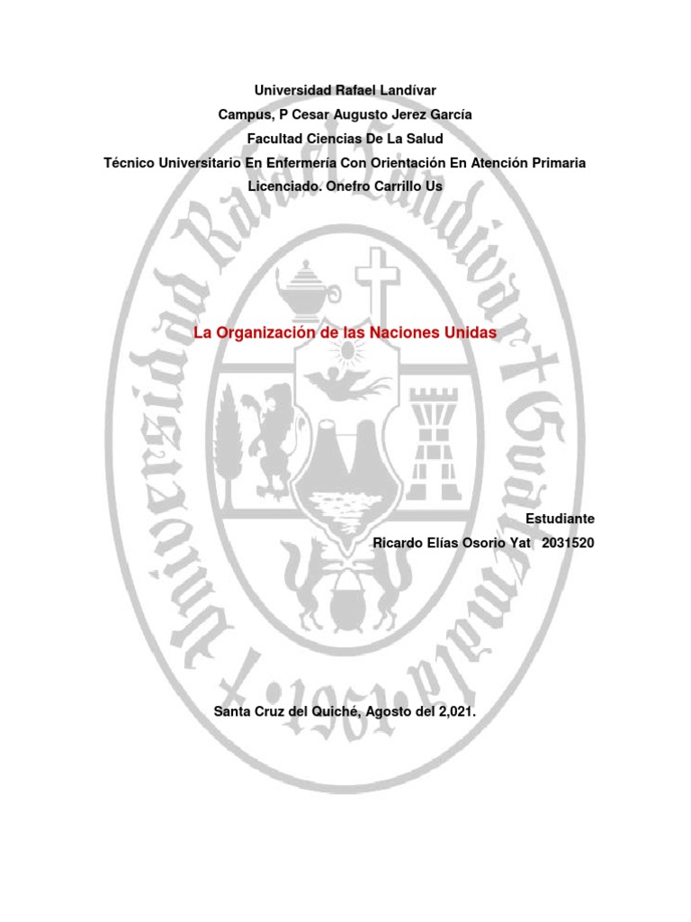Organización De Las Naciones Unidas Pdf Pdf