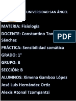 Reporte Fisiología PDF