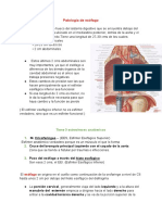 Patología de Esófago PDF