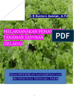 MODUL Pemanenan Tanaman Sayur (Selada) S.B.Buntoro Malelak