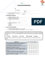 Evaluación Socioemocional