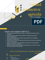 Unidad Productiva Agricola
