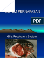 Sistem Pernafasan - Peredaran Darah PDF