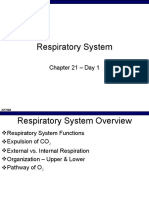 Resperatory