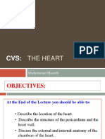 CVS: THE HEART STRUCTURE AND FUNCTION