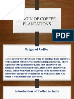 Origin of Coffee Plantations