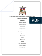 Microeconomía - Trabajo Final. PDF