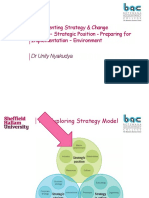 ISC - L3 - Strategic Position - Preparing For Implementation - Environment
