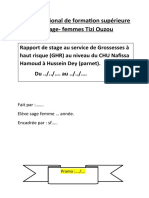 Rapport de stage (GHR).docx