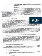 Wto PDF