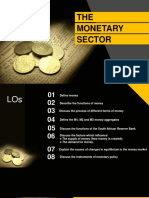 Understanding South Africa's Monetary Sector
