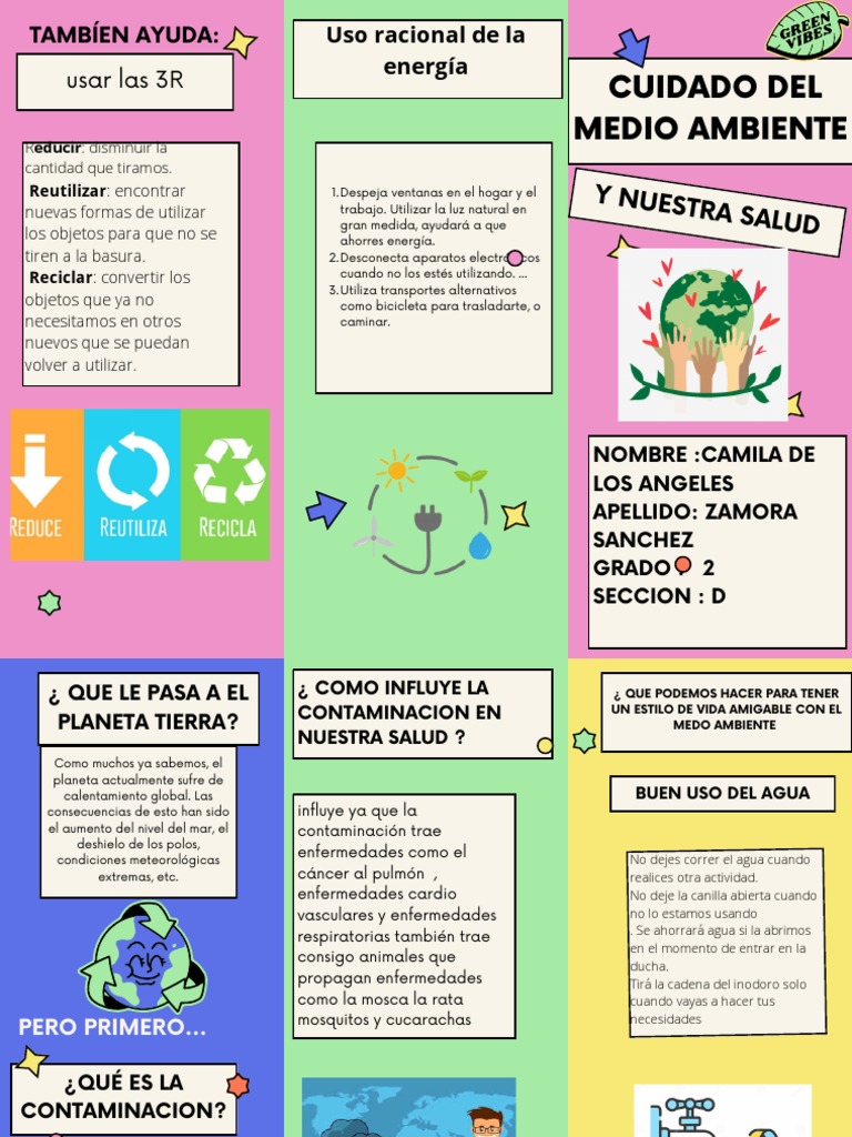 El Medio Ambiente y La Salud PDF | PDF