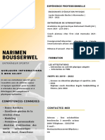 CV Sport PDF