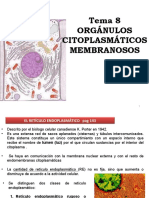 T 8 Organulos Membranosos