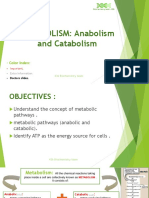 9 - Introduction To Metabolism TEAM436