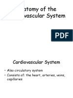 Anatomy of The Cardiovascular System