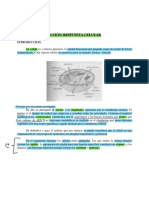 7 Mecanismos Acción Respuesta Celular PDF