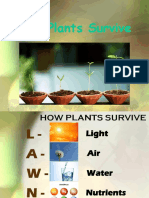 ELSC Week13 Plant Survival PDF