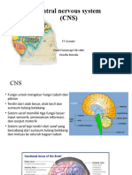 Central Nervous System