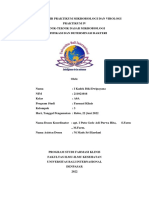 Praktikum Iv PDF