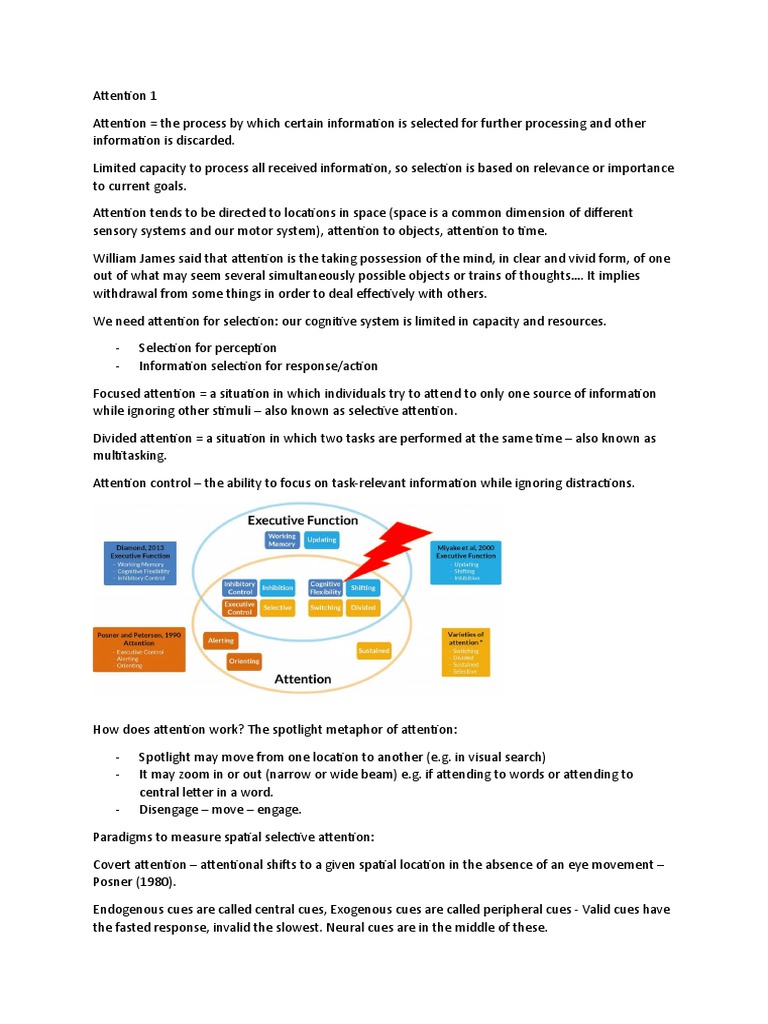 Attention Notes | PDF
