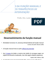 Função Manual + CIMT + HABIT + Terapia Do Espelho PDF