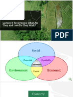 Lecture 2 - Ecosystem PDF