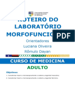 Roteiro I - Adulto Ao Idoso PDF