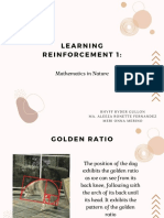 Learning Reinforcement 1 Mathematics in Nature PDF