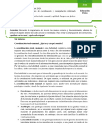 EDUCACIÓN FÍSICA Plan Segundo Ciclo de Coordinación PDF