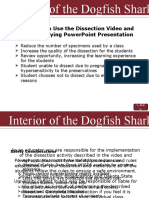 Dogfish Shark PPInterior PR