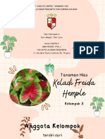 Kelompok 3 Budidaya Tanaman Hias PDF