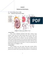 Anemia CKD PDF
