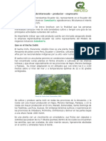 Inf para Siembra y Produccion Del Sacha Inchi PDF