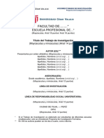 Informe Avance Del Trabajo de Investigación