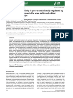 The Plant Journal - 2014 - Xing - ATP Citrate Lyase Activity Is Post Translationally Regulated by Sink Strength and Impacts PDF