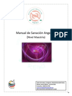 Manual Sanación Angelical Nivel Maestría PDF
